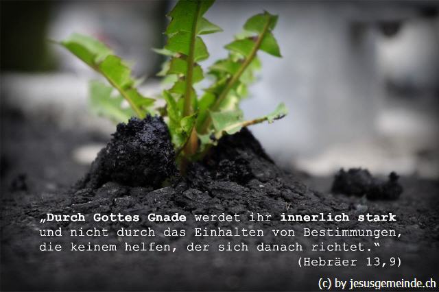 Durch Gottes Gnade werden wir innerlich stark!