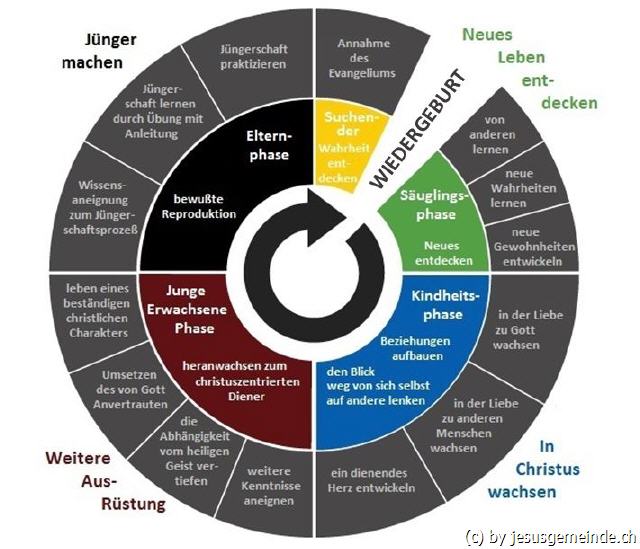 Jüngerschaftsentwicklung